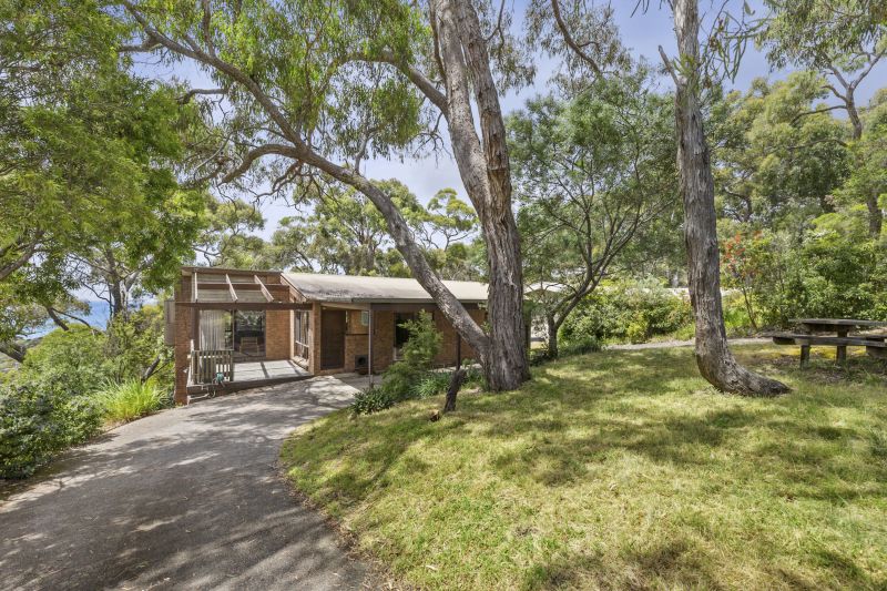 6 Heath Street, Lorne, VIC, Lorne - Thumbnail 5