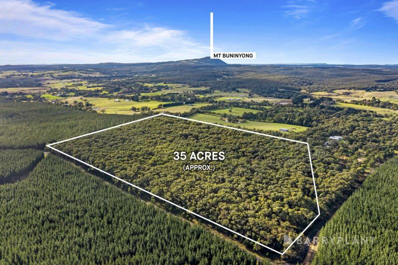 217 Lockyers Road, Garibaldi - Thumbnail 3