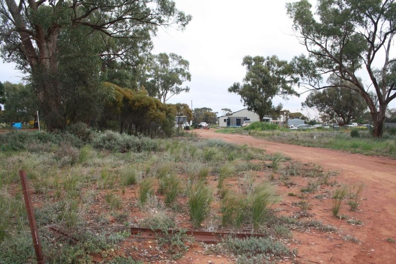 21 Illewong Street, Euabalong West, West - Thumbnail 4