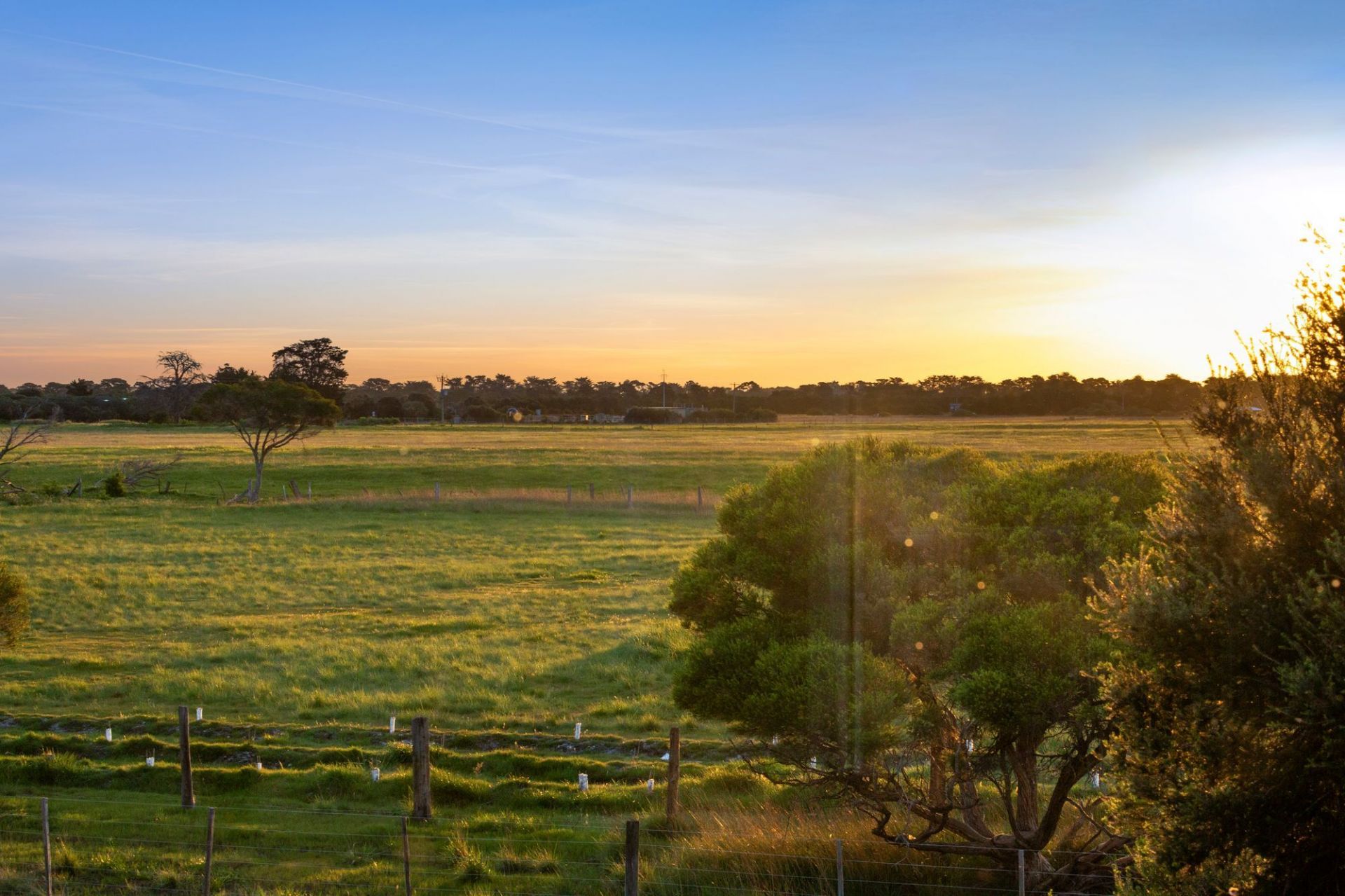 2/36 Saratoga Avenue Barwon Heads VIC, Barwon Heads - Thumbnail 6