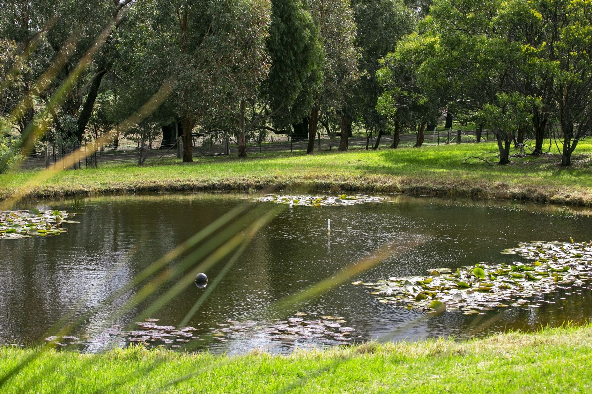 114 Rhinds Rd Wallington VIC, Wallington - Thumbnail 5