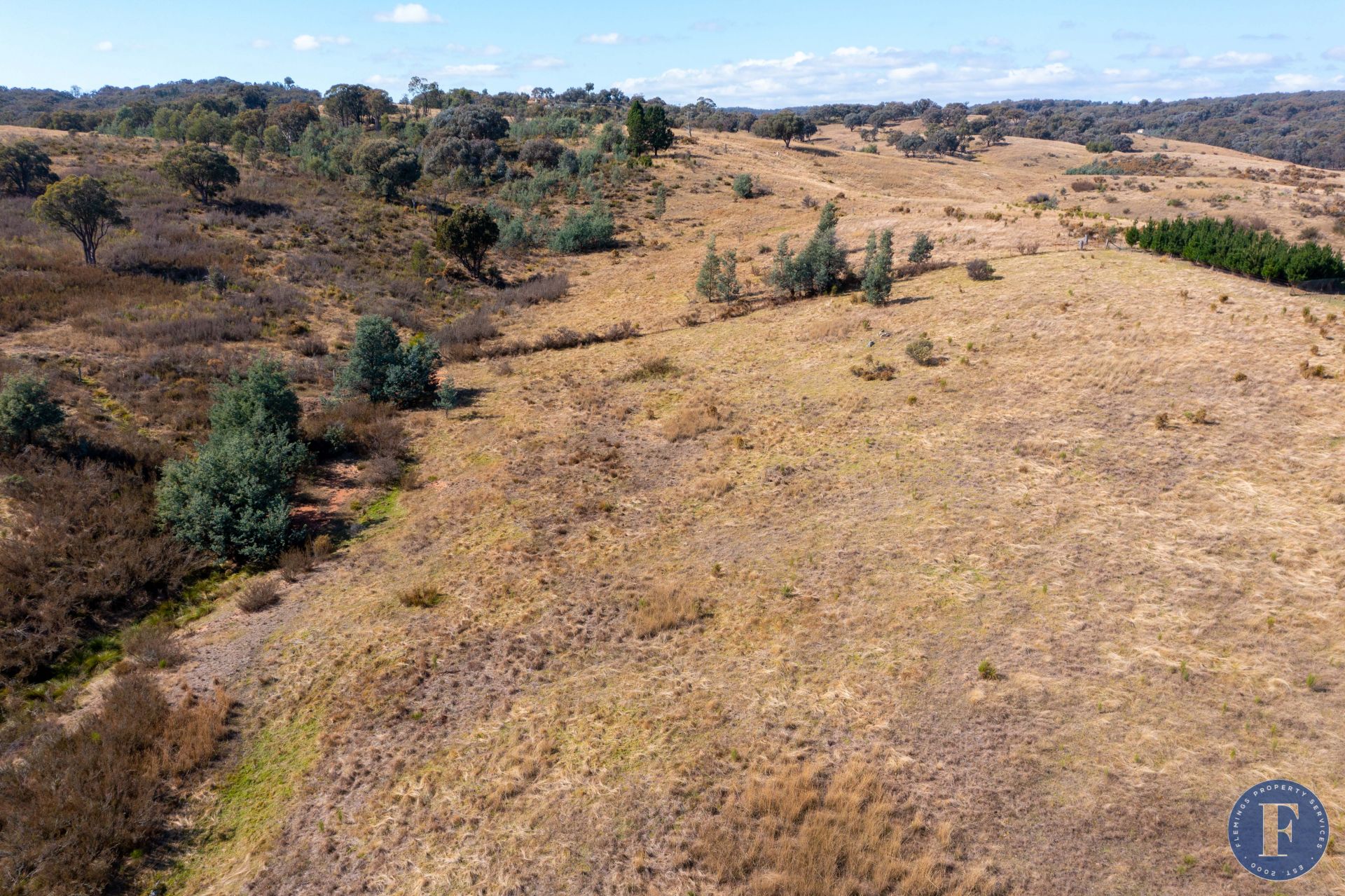 12 Taylors Flat Road, Frogmore NSW, Frogmore - Thumbnail 4