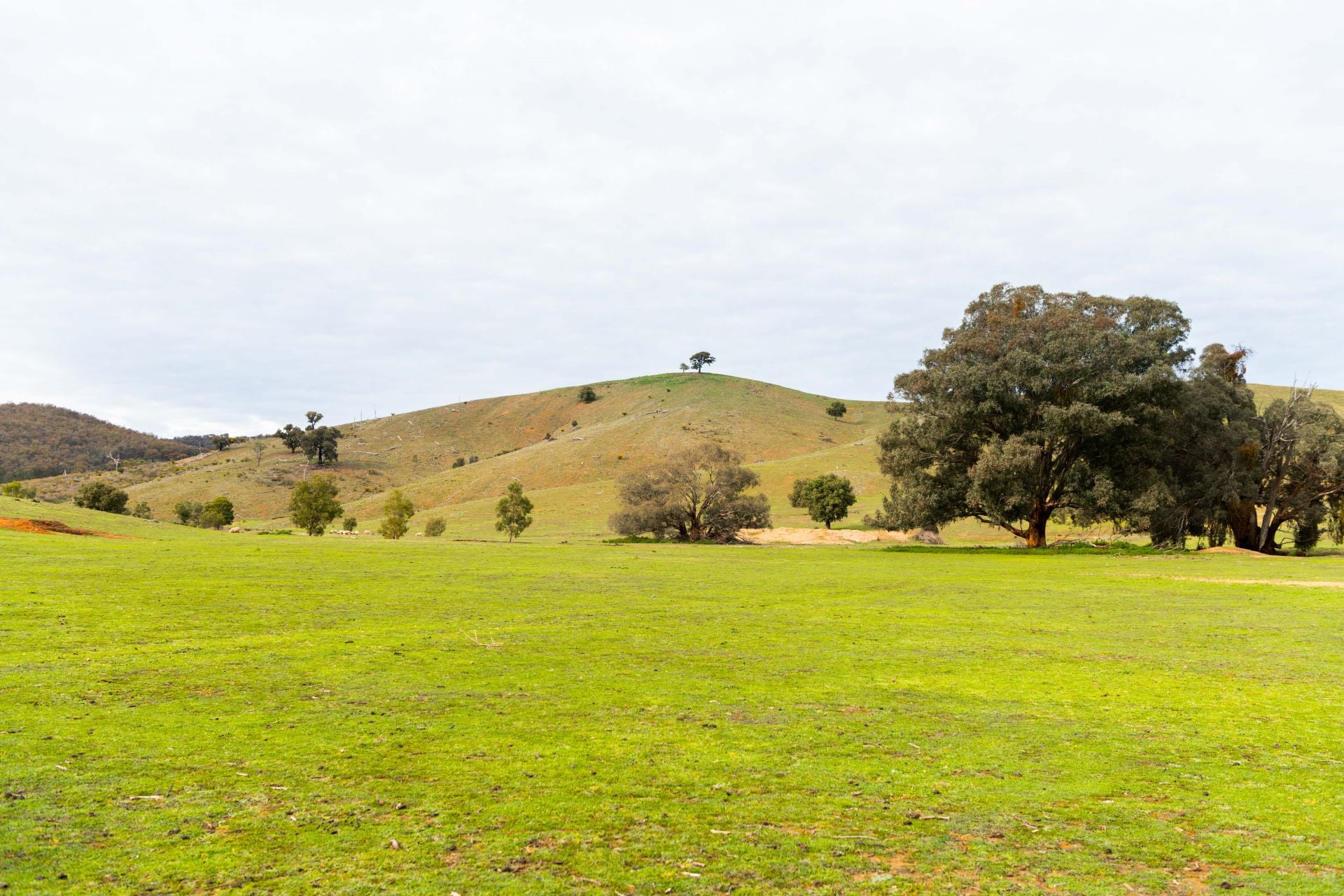 148 Mount Darling Road, Wyangala NSW, Wyangala - Thumbnail 2