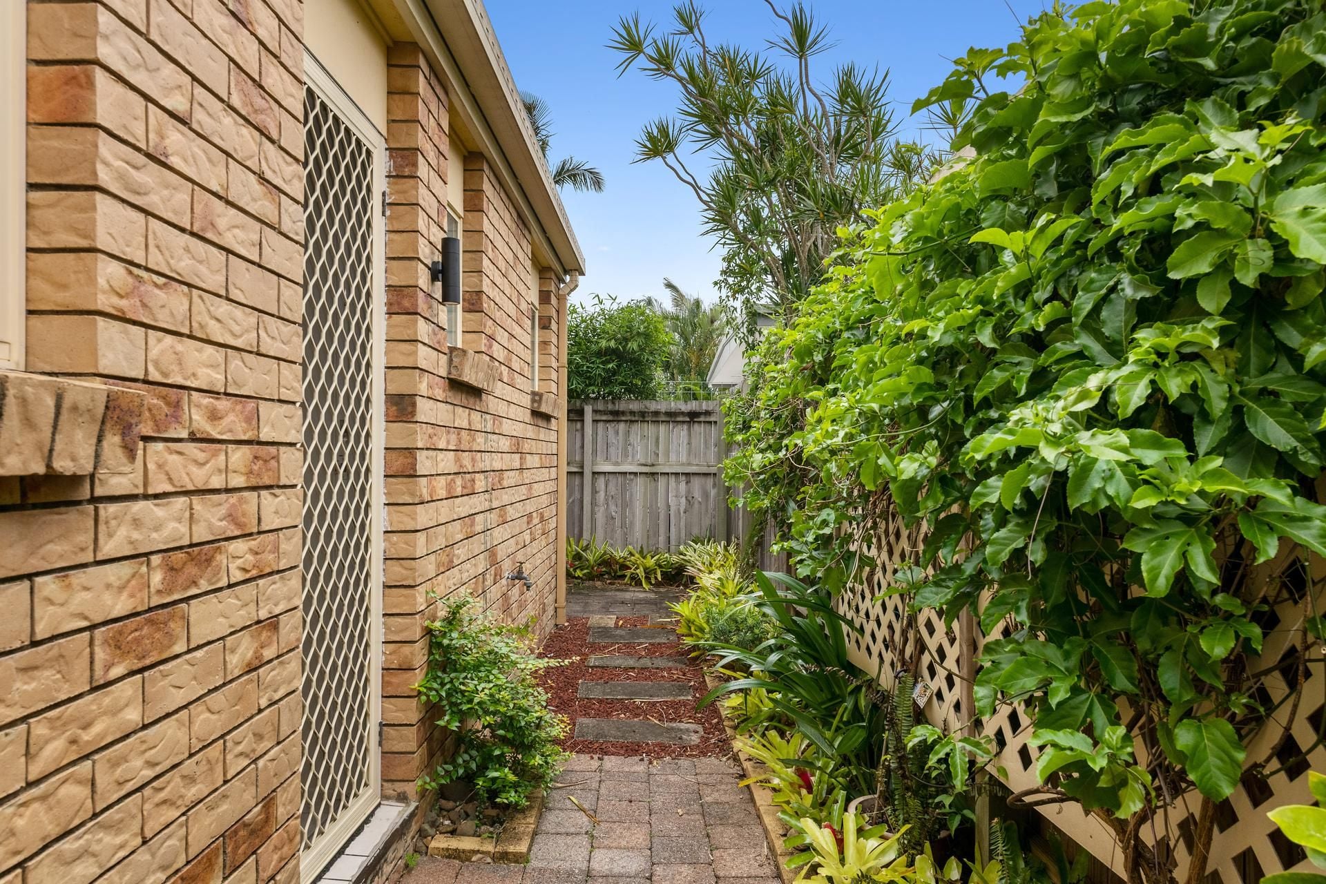 5/12 Doolooma Street Mountain Creek QLD, Mountain Creek - Thumbnail 8
