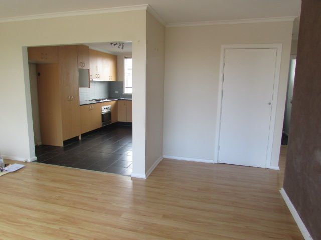 **Sunshine Galore**