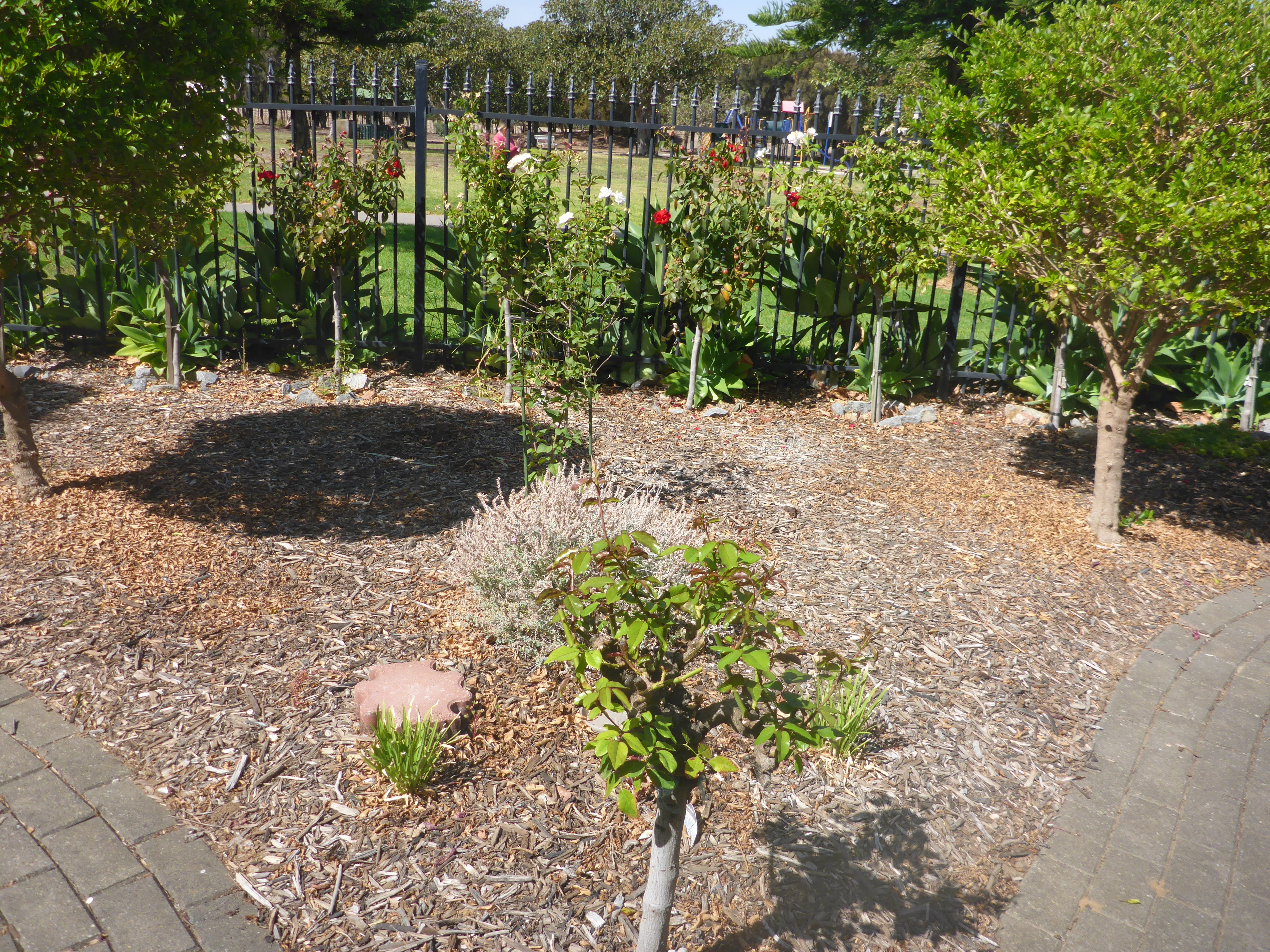 7 Formby Crescent Port Adelaide 5015
