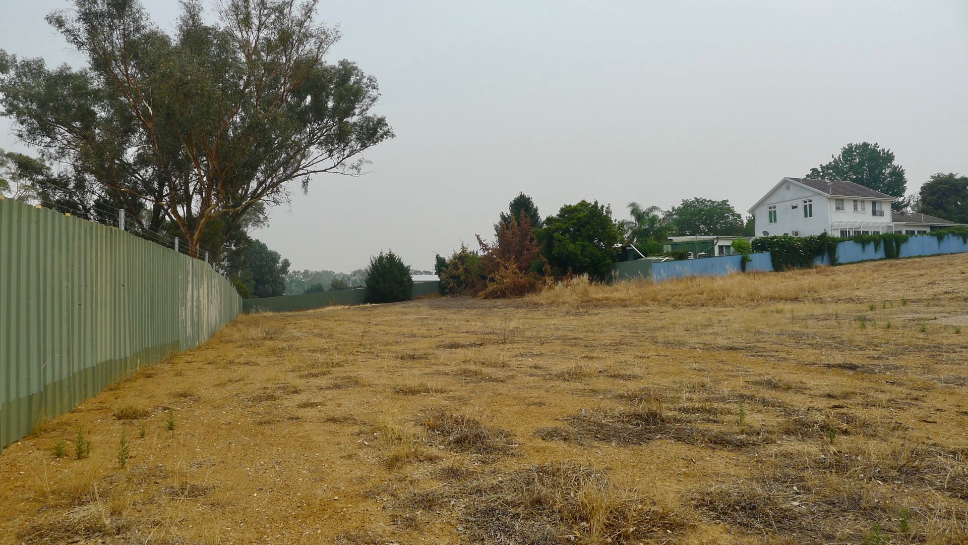540 Nagle Road Lavington NSW, Lavington - Thumbnail 2