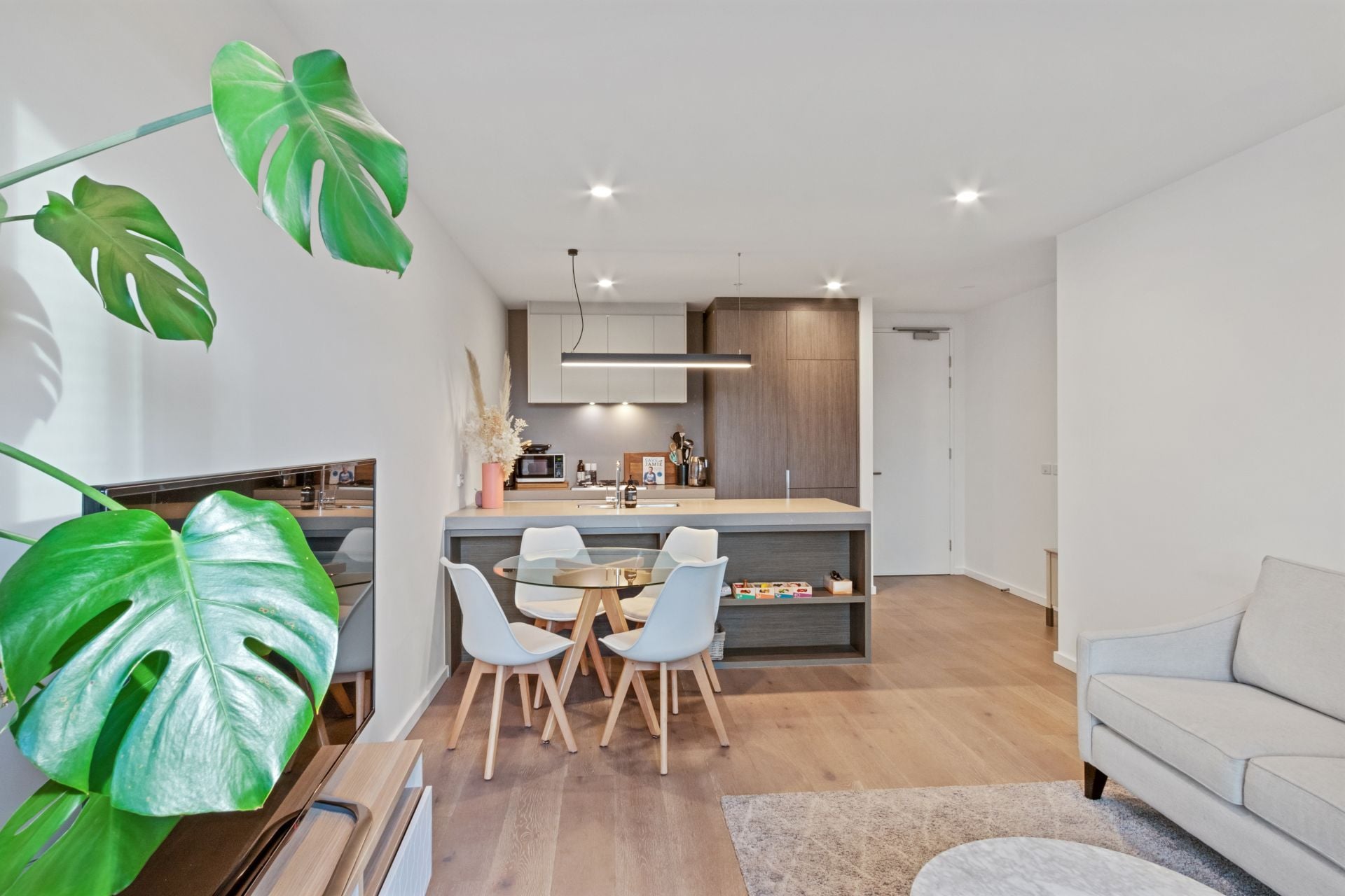 North facing boutique living