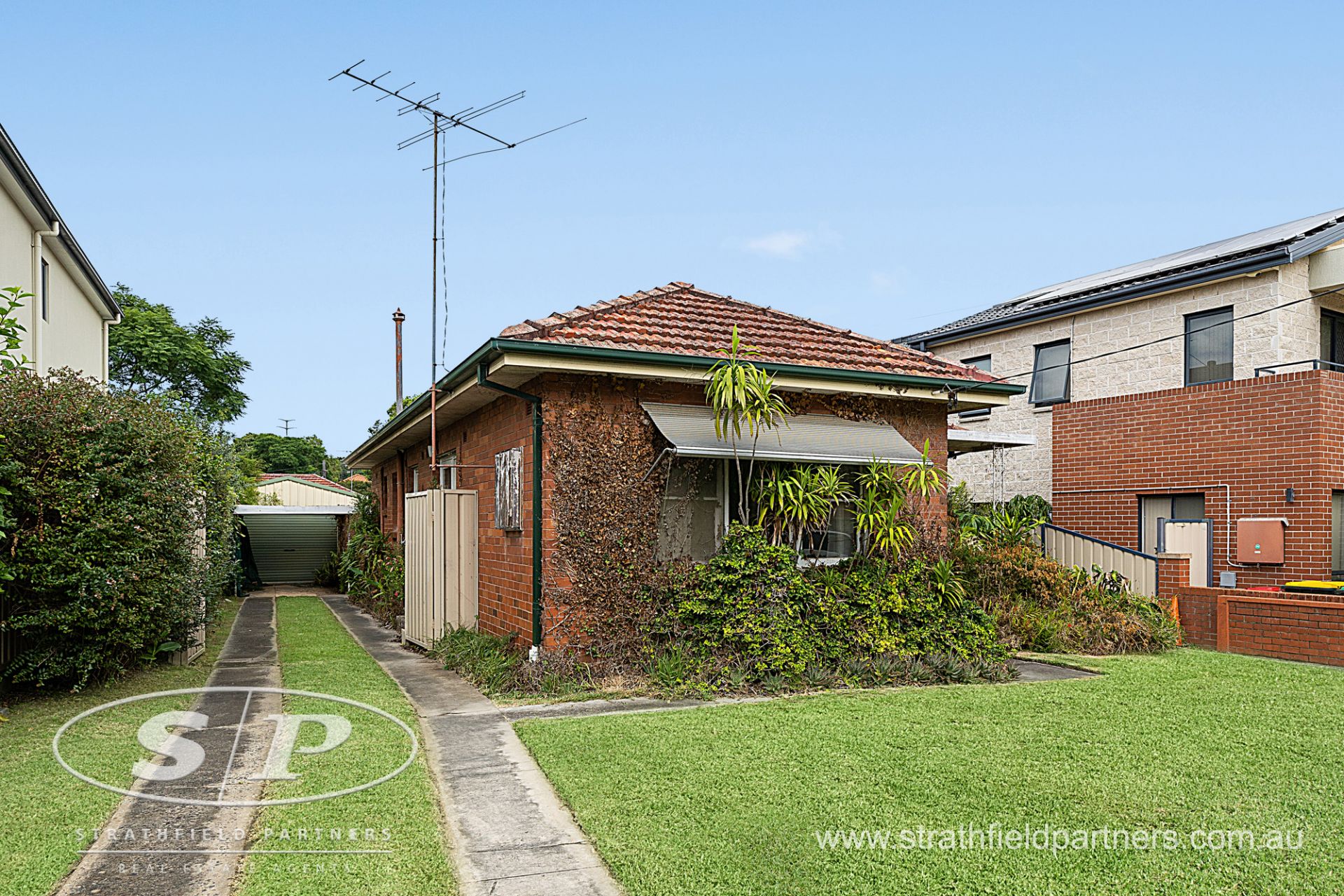 16 Hamilton Street, North Strathfield, Strathfield - Thumbnail 3