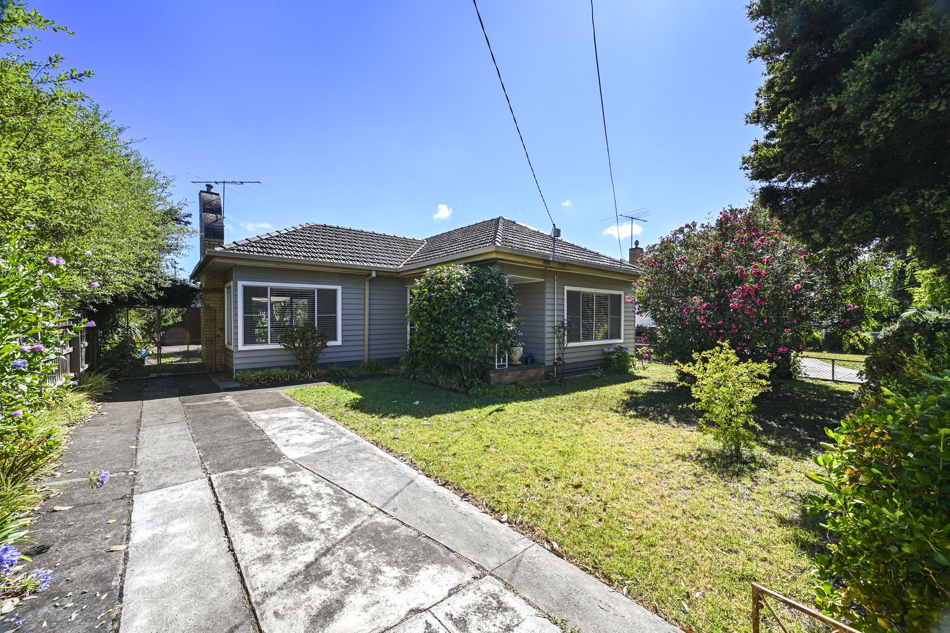 Renovated House with Big Backyard!