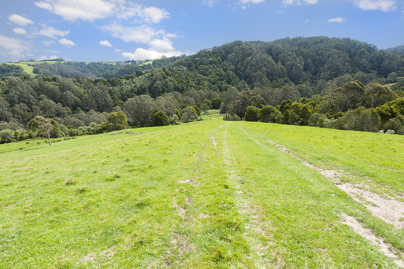 675 Skenes Creek Road, Skenes Creek, VIC, Skenes Creek - Thumbnail 4
