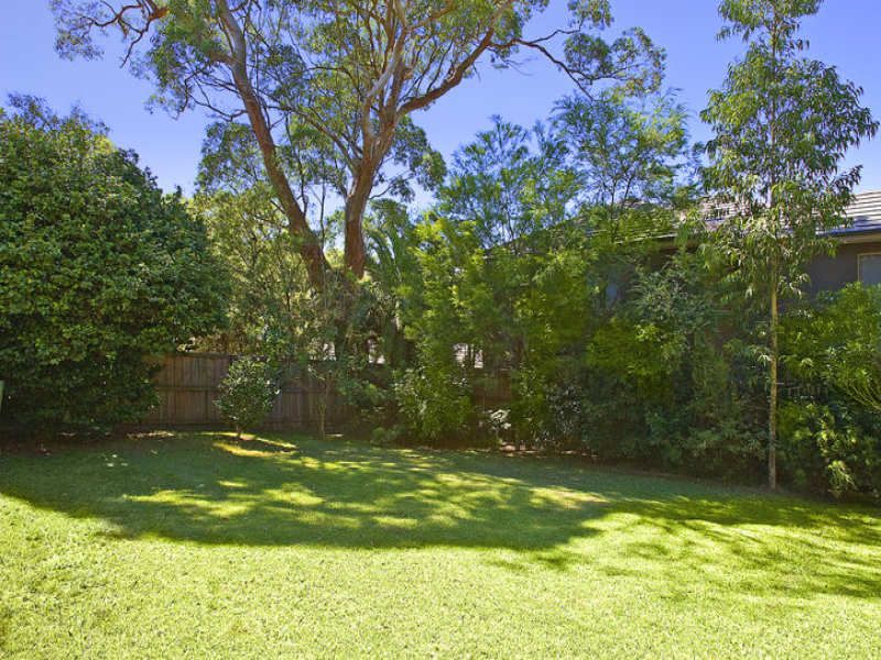 4 Sera Street LANE COVE NSW, 4 Sera Street Lane Cove - Thumbnail 3
