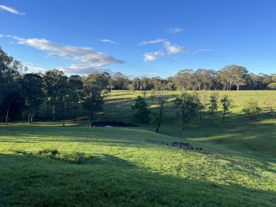 Kurrajong 36 Vincents Road