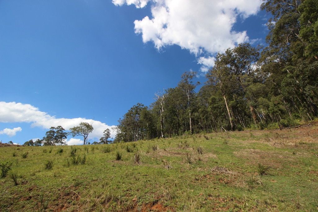 , BIRDWOOD NSW 2446
