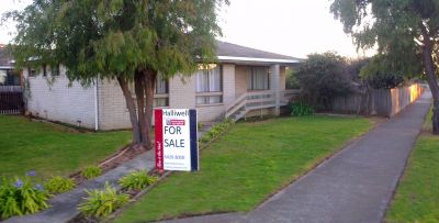 11 Warkworth Court, East Devonport, East Devonport - Thumbnail 3