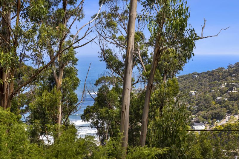 45 Karingal Drive, Wye River, VIC, Wye River - Thumbnail 5