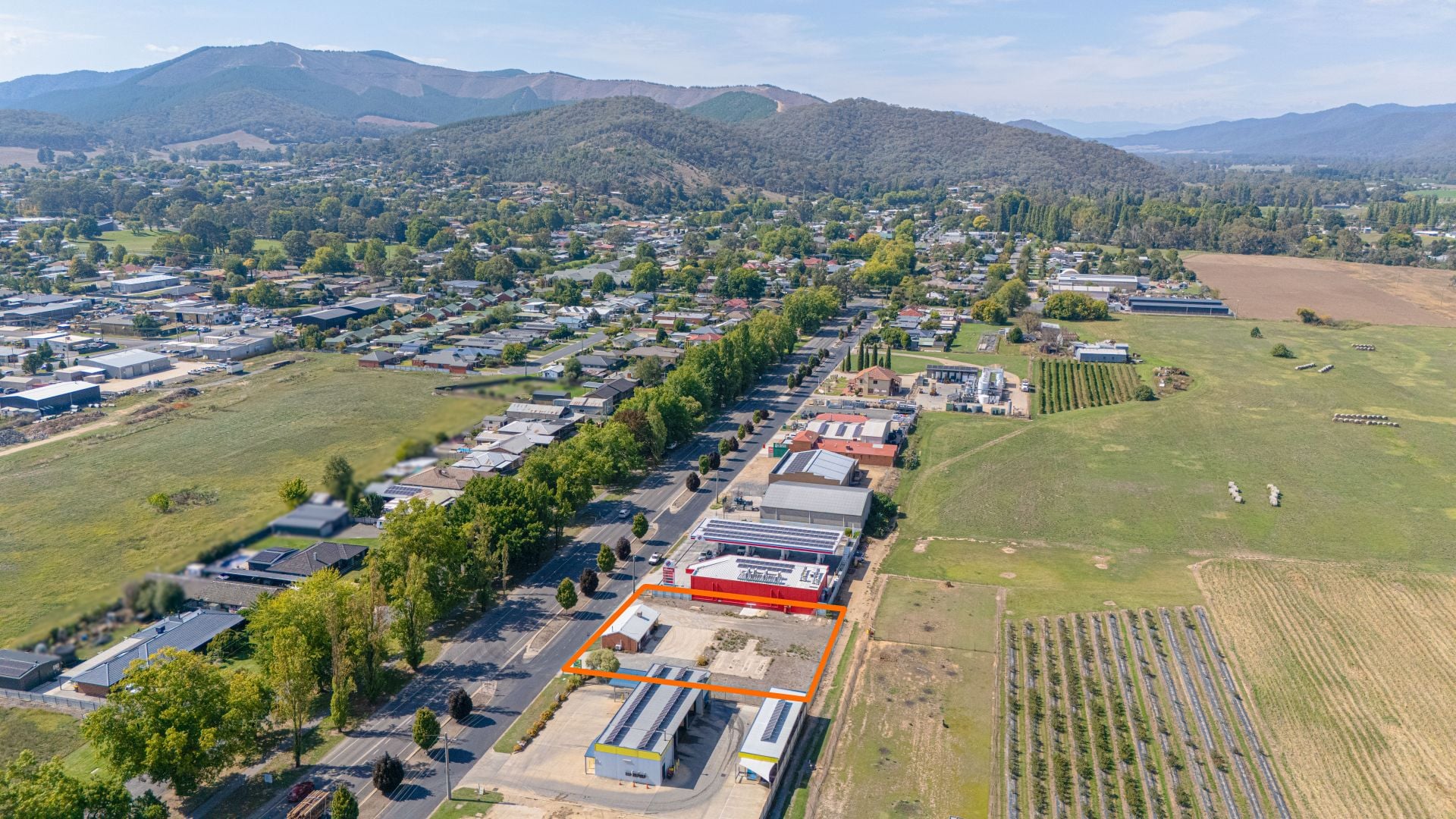237, Myrtleford - Image 1