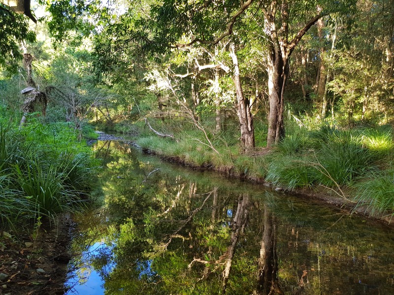 Creek Frontage, East Facing block, town water, quality estate only mins to Samford Village
