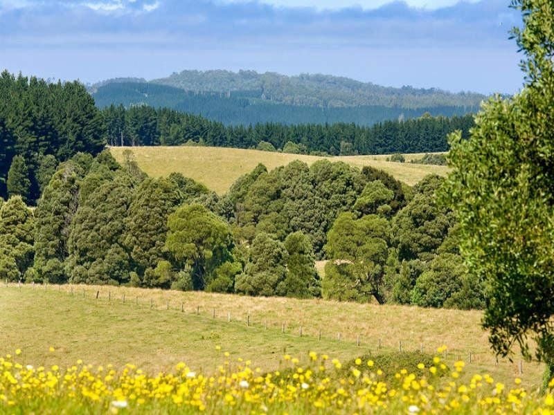 22 Main Road BEECH FOREST VIC, Beech Forest - Thumbnail 2