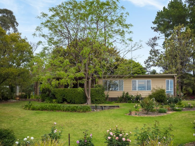 53 Mount Darragh Road, South Pambula