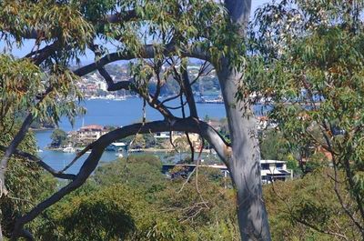 5/1 Balfour Road, Greenwich