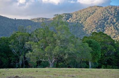 5 stunning acres within minutes of Samford Village. A very rare find.
