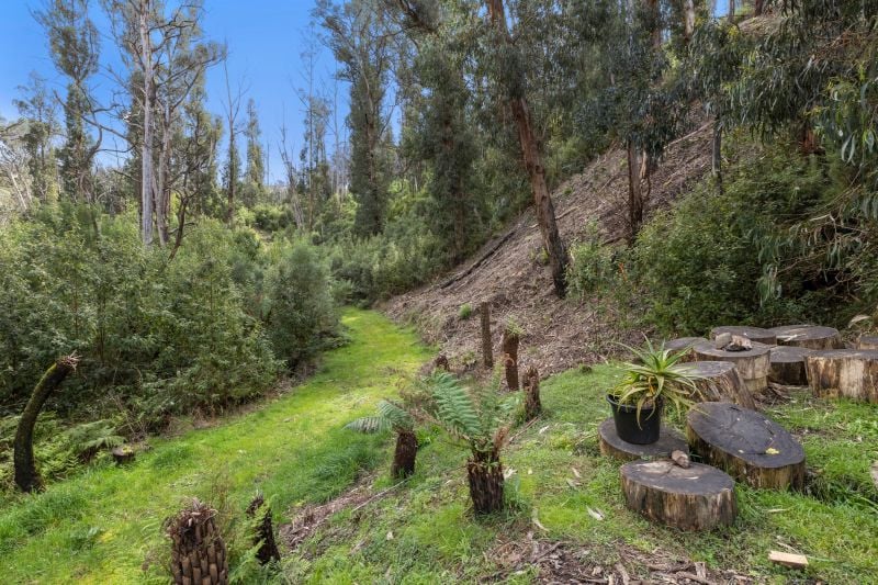 4 Illowra Avenue, Wye River, VIC, Wye River - Thumbnail 5