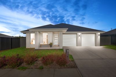 Bellbird 1B Prince Street