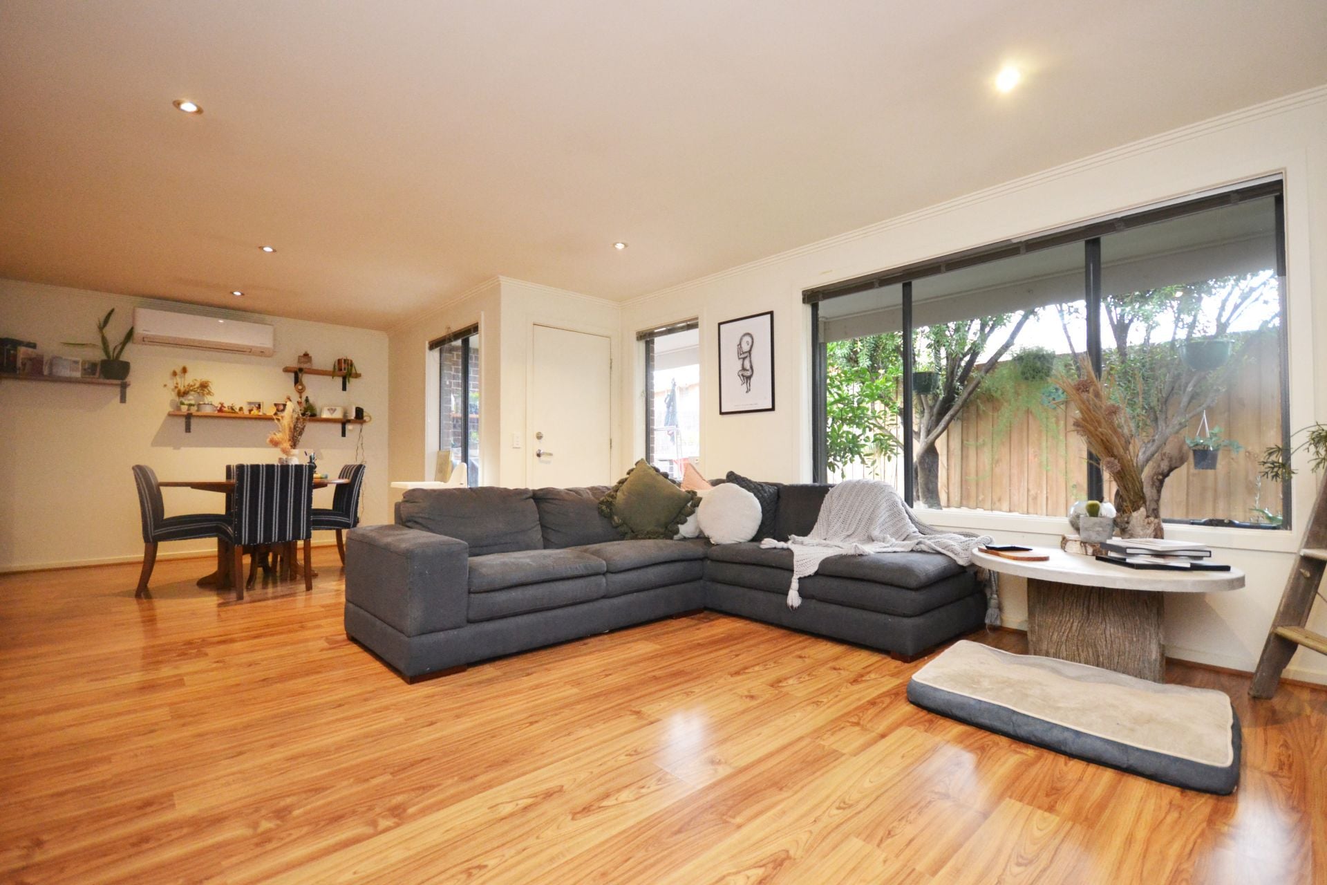 CONTEMPORARY DELIGHT