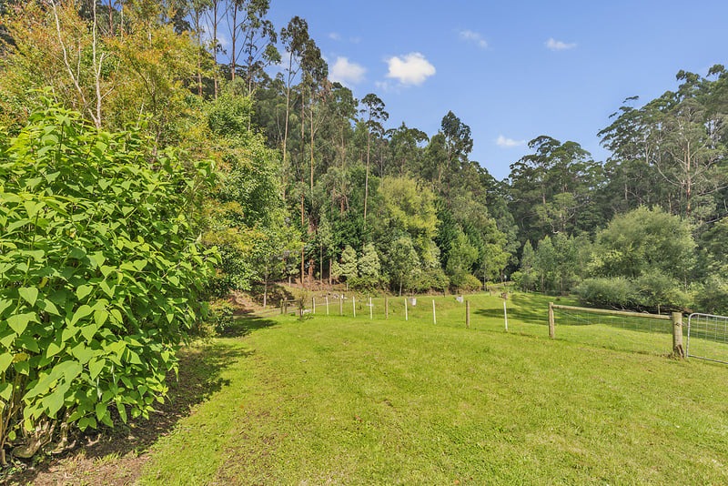 860 Barham River Road, Apollo Bay, VIC, Apollo Bay - Thumbnail 7