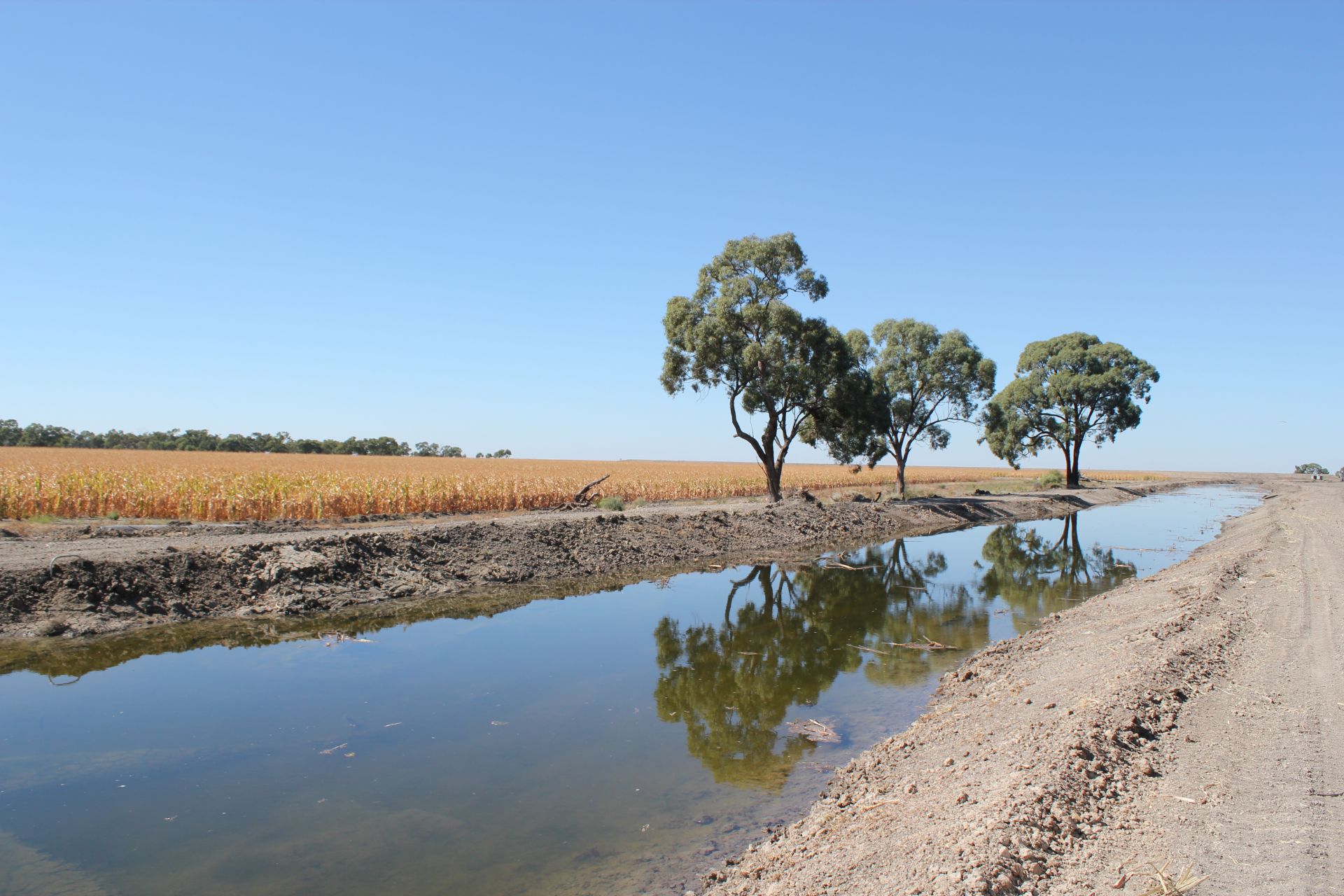 Cobb Highway, Hay, Hay - Thumbnail 6