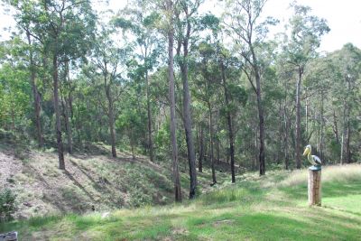 8 Ferngully Lane, Millingandi