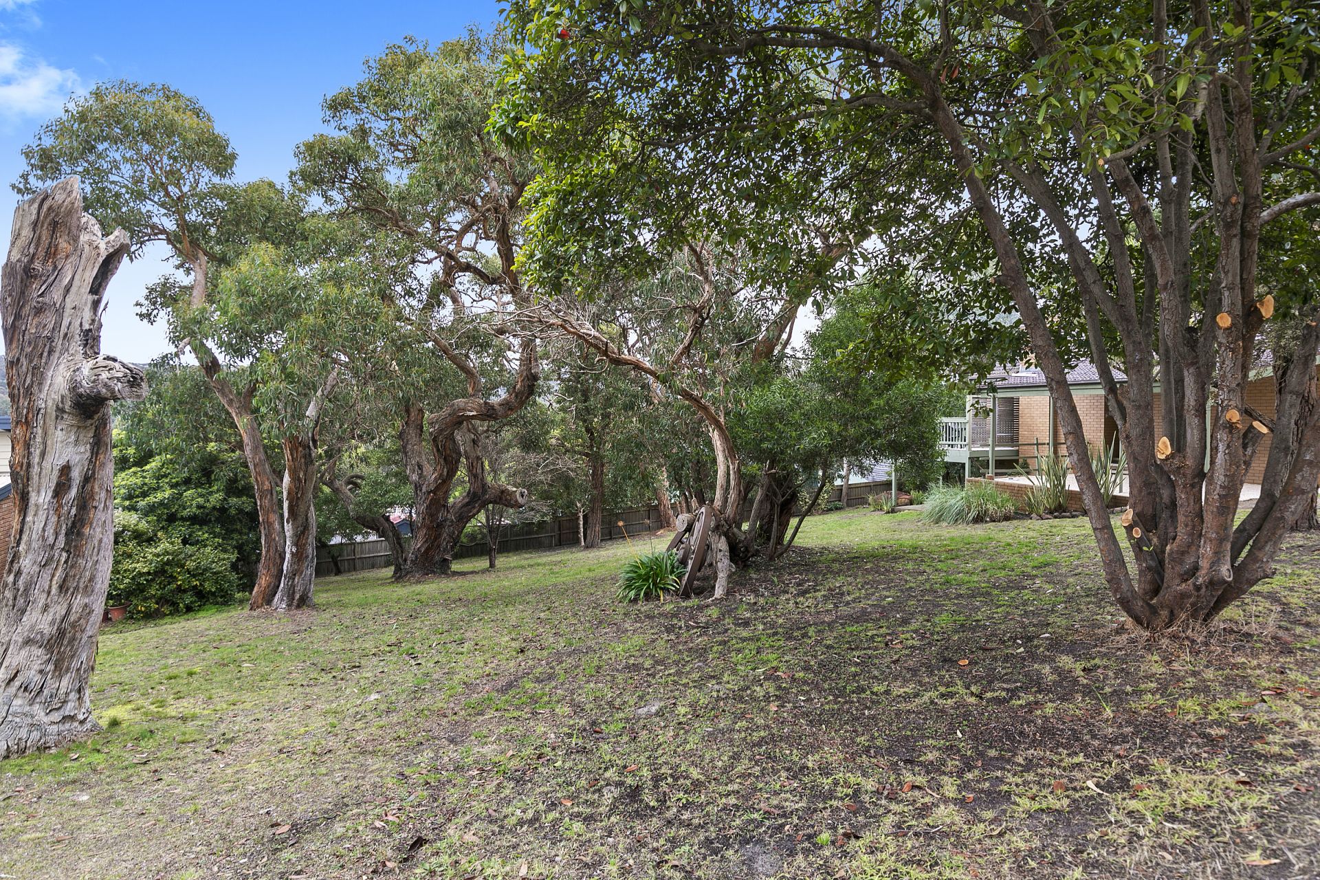 10 Hillcrest Road, Anglesea - Thumbnail 3