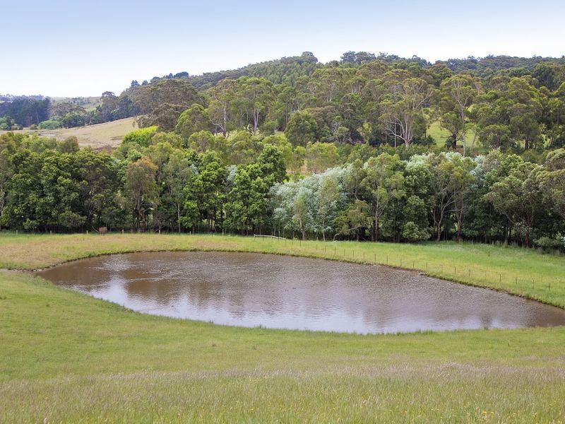 415 Pennyroyal Valley Road Pennyroyal VIC, Pennyroyal - Thumbnail 7