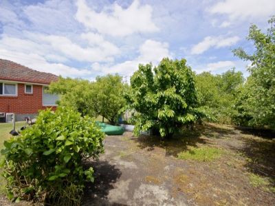 3
 
 
 
  
 
 
 1
 
 
 
  
 
 
 5
 
 
 
 
 
 
 
 6 Moriarty Road, LATROBE TAS 7307, Latrobe - Thumbnail 7
