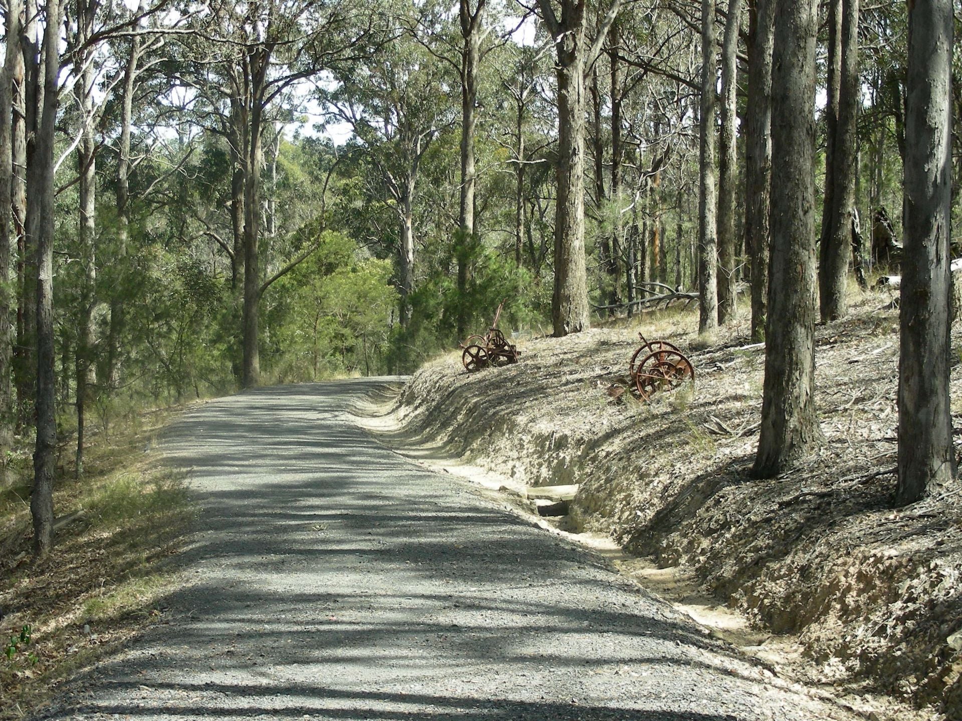 1576 Tathra Bermagui Road Tanja NSW, Tanja - Thumbnail 5