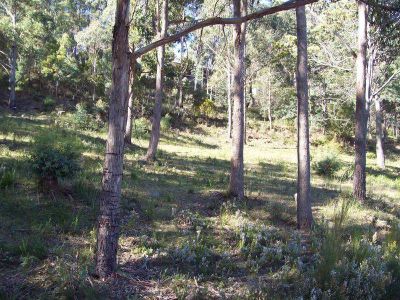 45 Lochner Street, LATROBE, Latrobe - Thumbnail 3