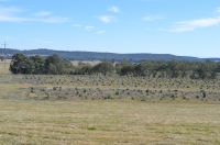 Hiamdale VIC, Hiamdale - Image 1