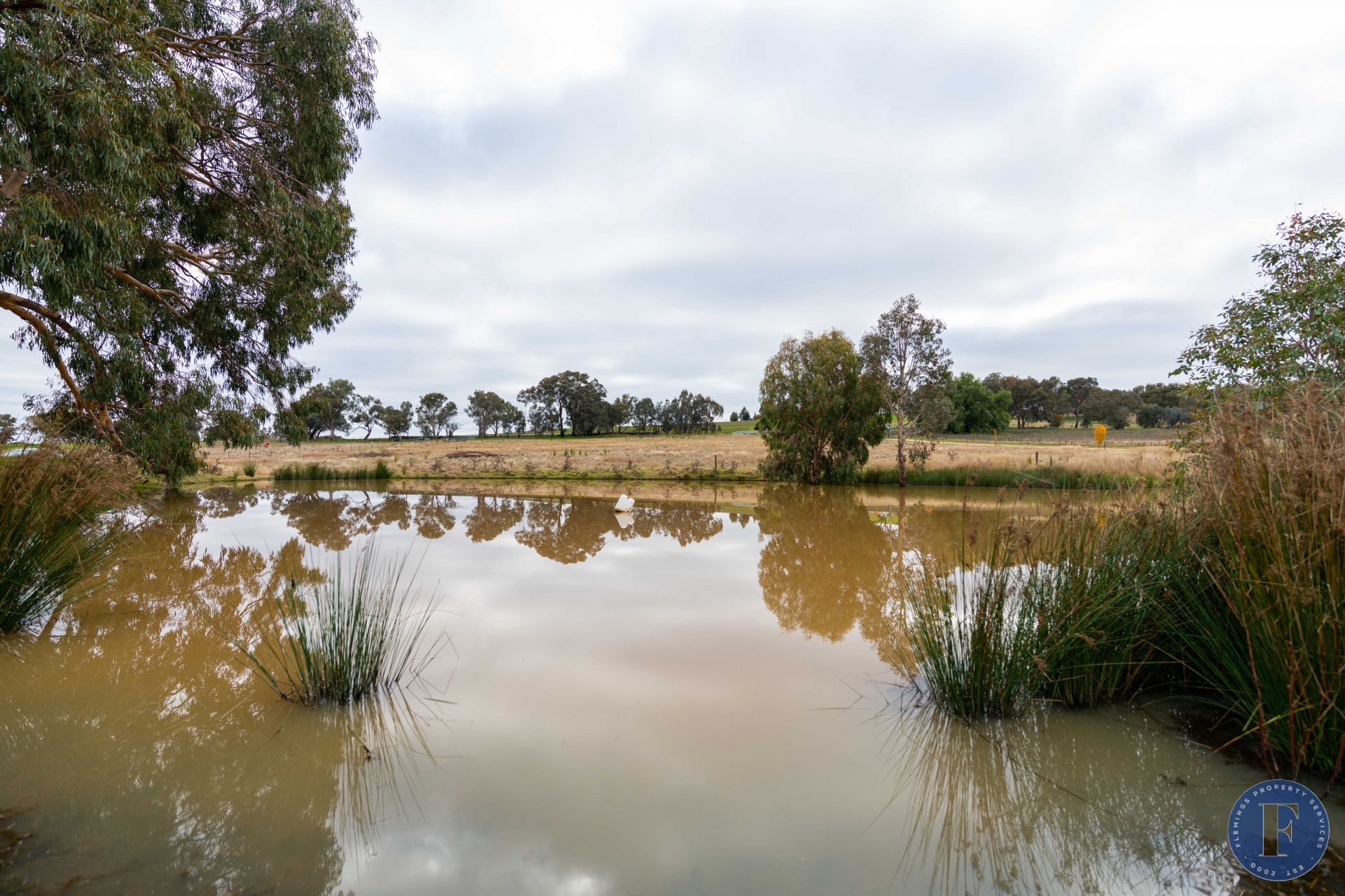 141 Forbes Lane, Young NSW, Young - Thumbnail 5