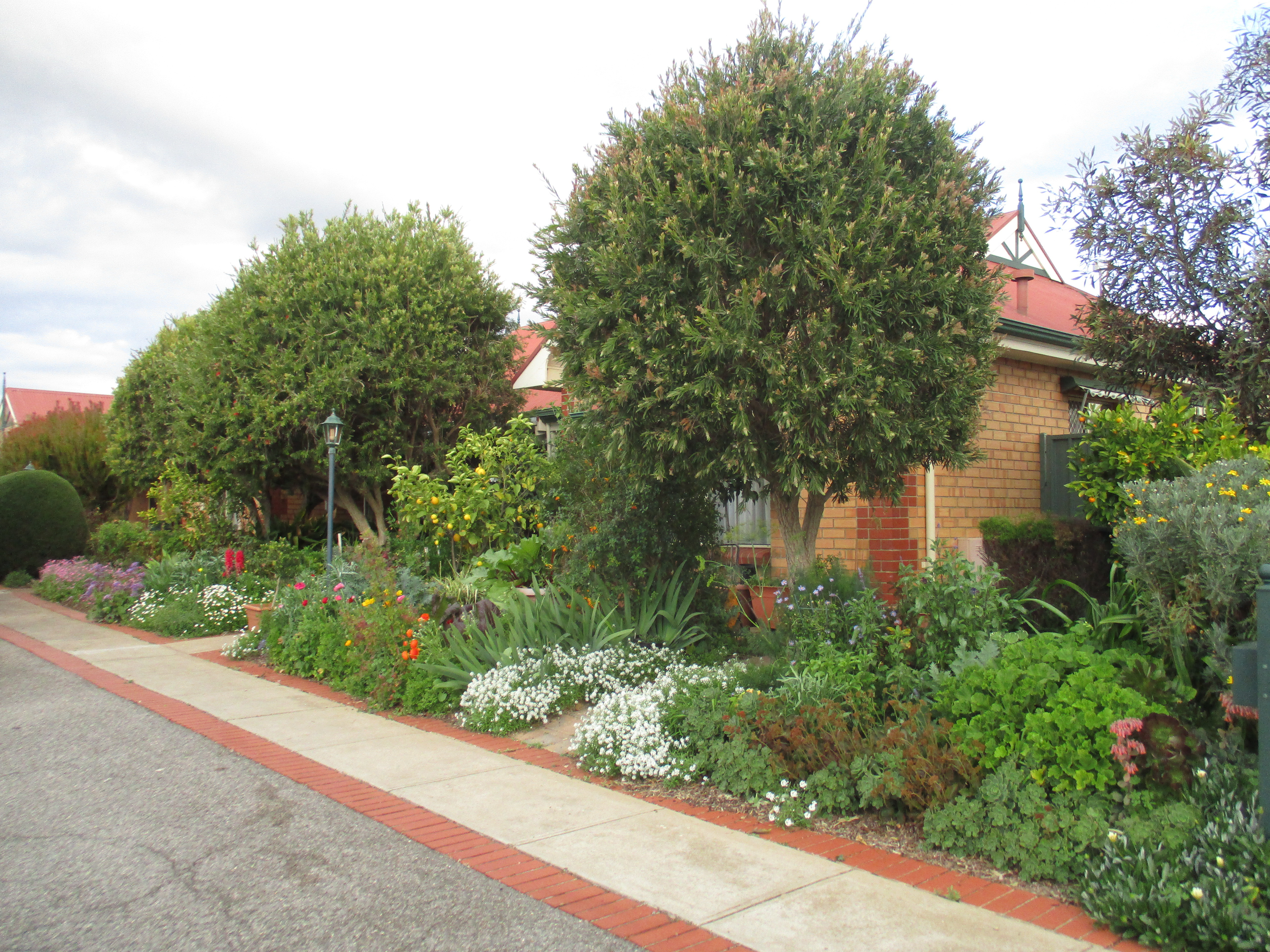 4/1 Fourth Street Magill 5072