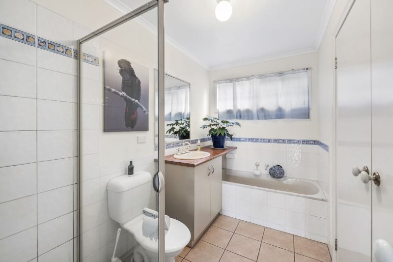 14A Belvedere Terrace, Lorne, VIC, Lorne - Thumbnail 4