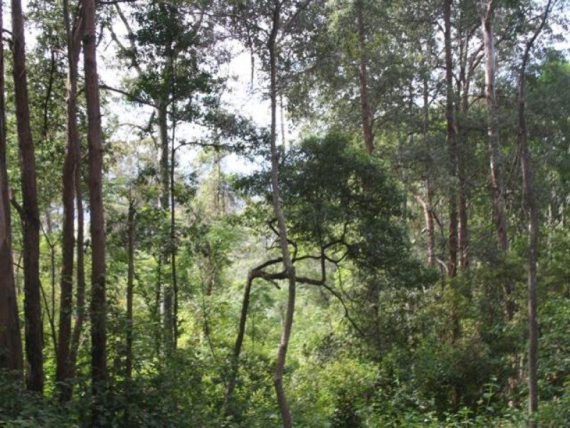 52 Gunbower Road, Bowen Mountain - Thumbnail 3