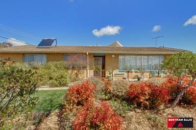 Let the sunshine in!