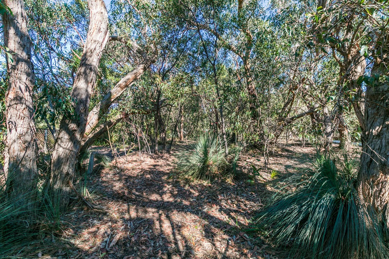 13 Birkdale Close, Anglesea, VIC, Anglesea - Thumbnail 3