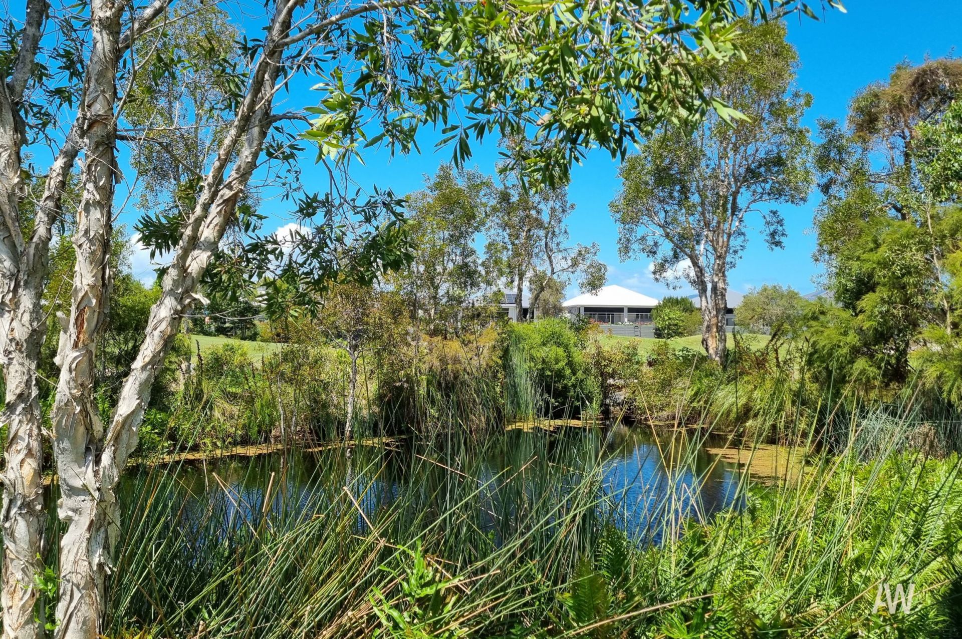 49 Emilia Close Banksia Beach QLD, Banksia Beach - Thumbnail 5