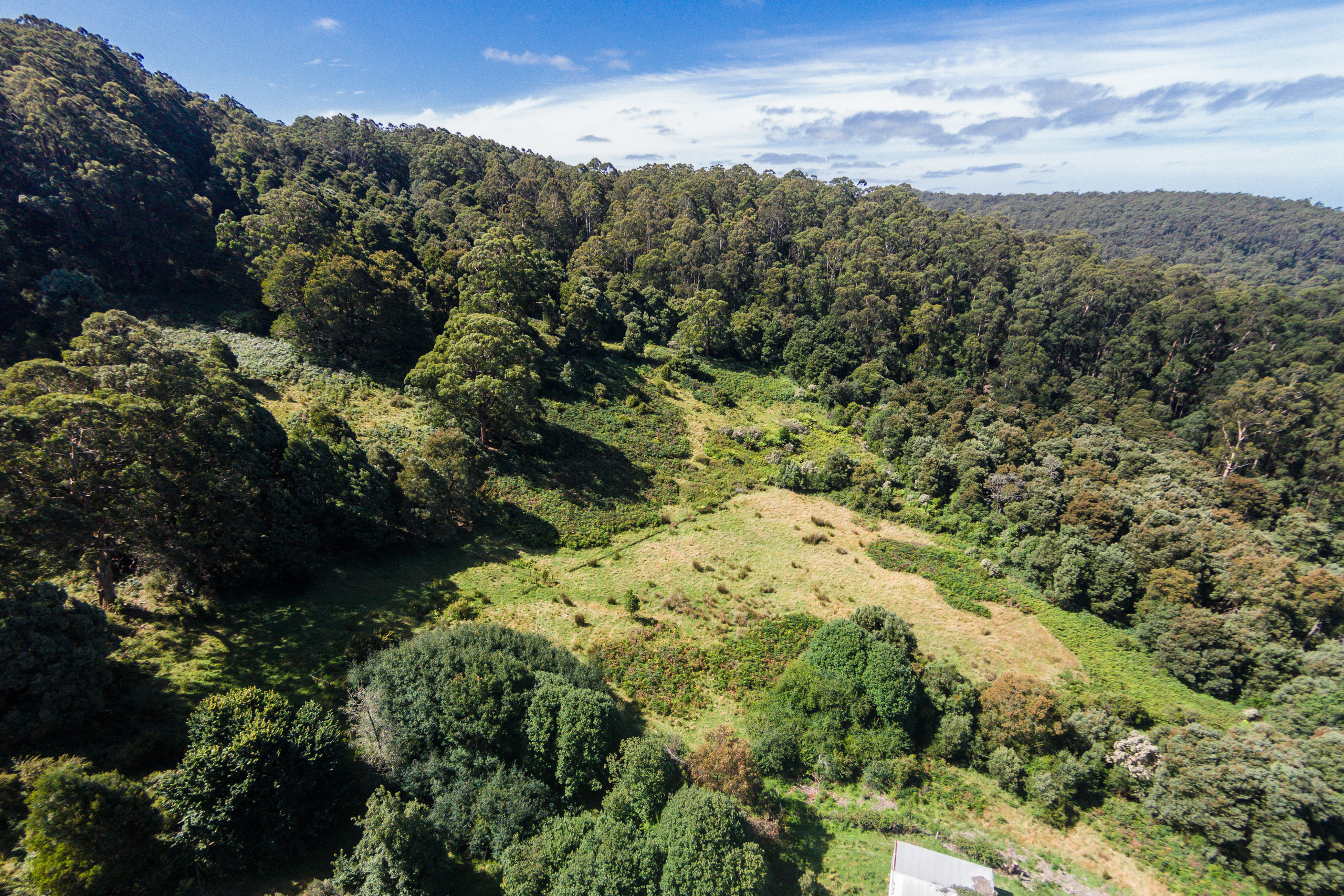 290 Kennett Road, Kennett River, VIC, Kennett River - Thumbnail 4