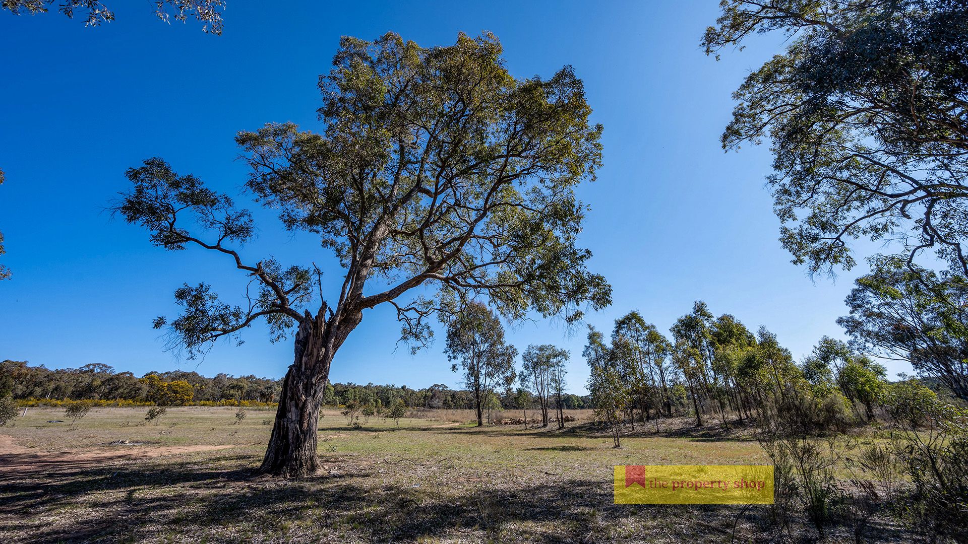 364 Corishs Lane, Gulgong The Property Shop