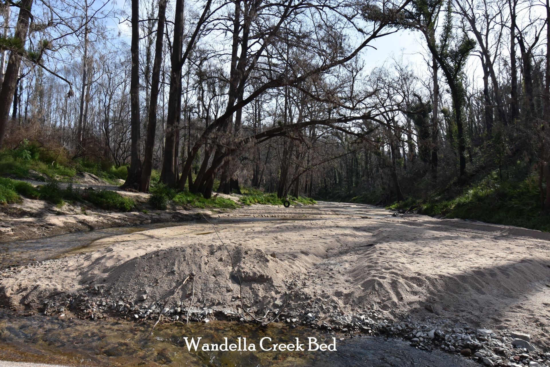 97 Welshs Road, Wandella, Wandella - Thumbnail 6