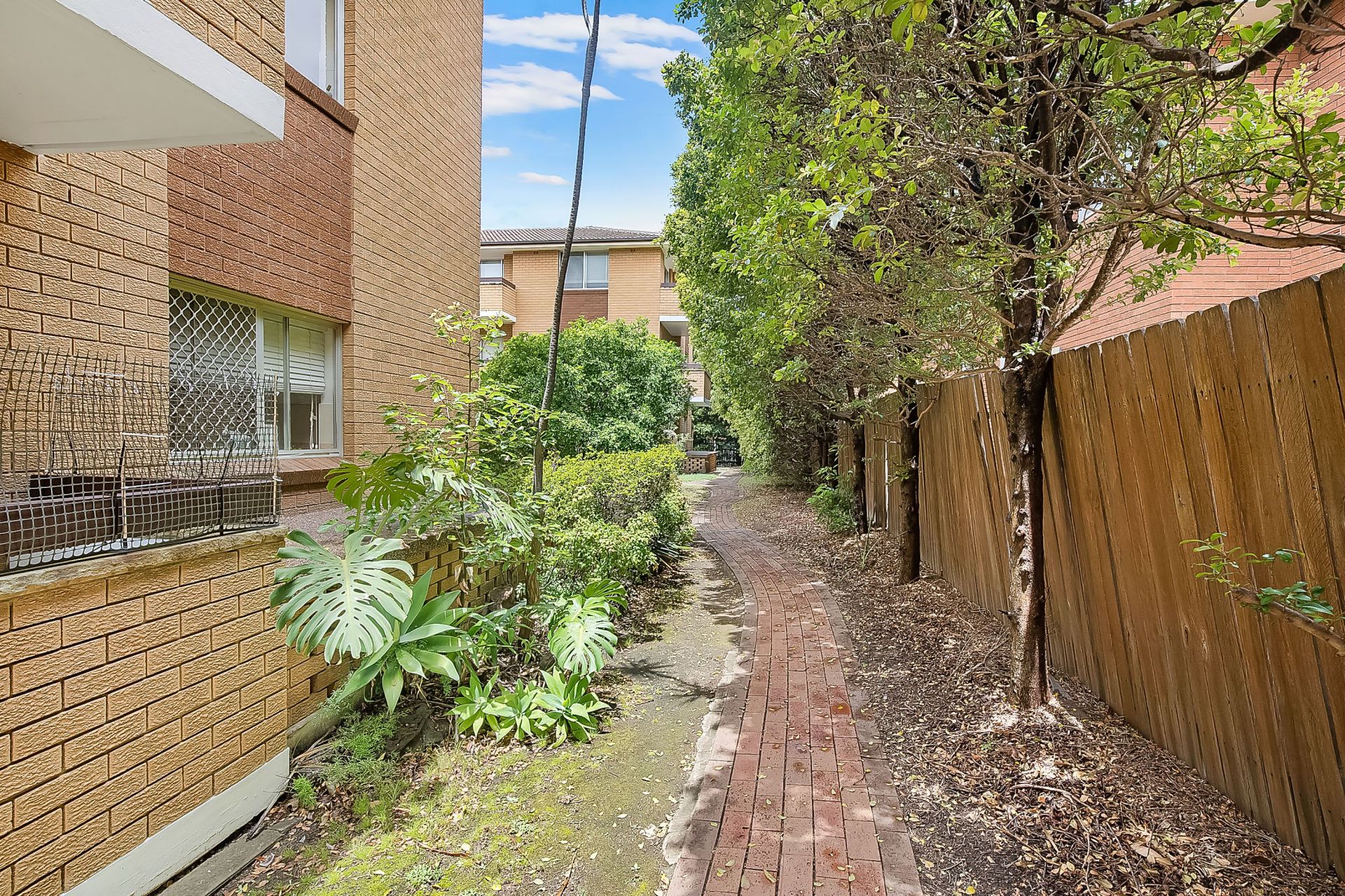 14/15 Cecil Street Ashfield NSW 2131 Apartment for Rent 7184545
