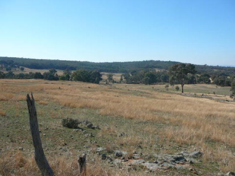 Lot 2 Carinya Road, Boorowa NSW, Boorowa - Thumbnail 2